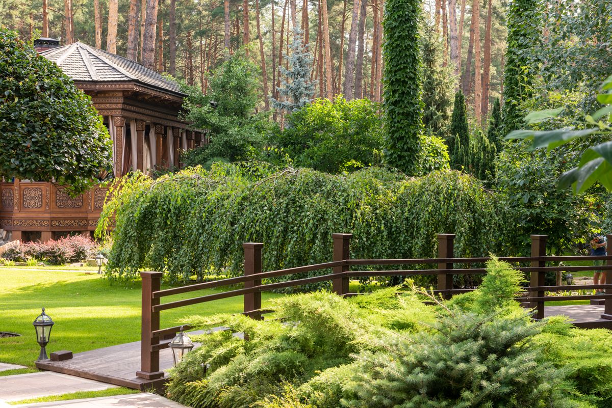 Angelegte Gartenanlage mit Rasenfl&auml;che, Bepflanzung und Holzweg